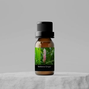 Verbena Ginger 15ml